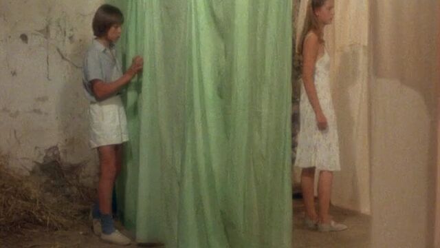 Нежные кузины | Tendres cousines (1980) Дэвид Гамильтон