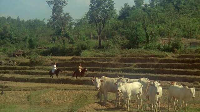 Эммануэль | Emmanuelle (1974) эротический фильм