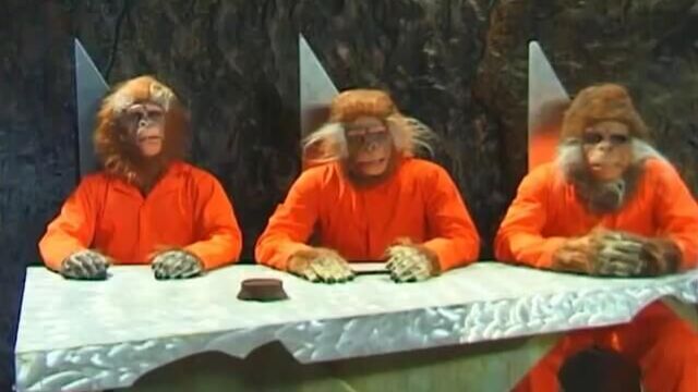 Планета обезьян | Planet of the Babes (2001) порно кино